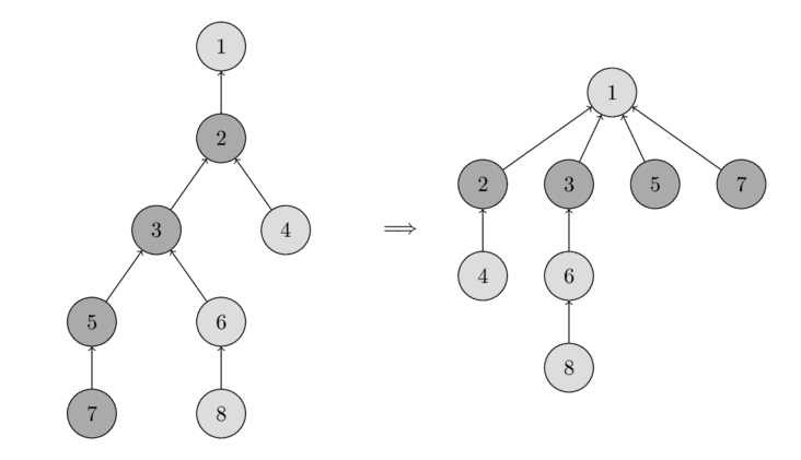 DSU Path Compression